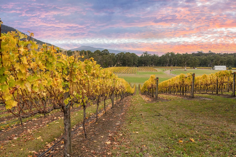 Yarra Valley